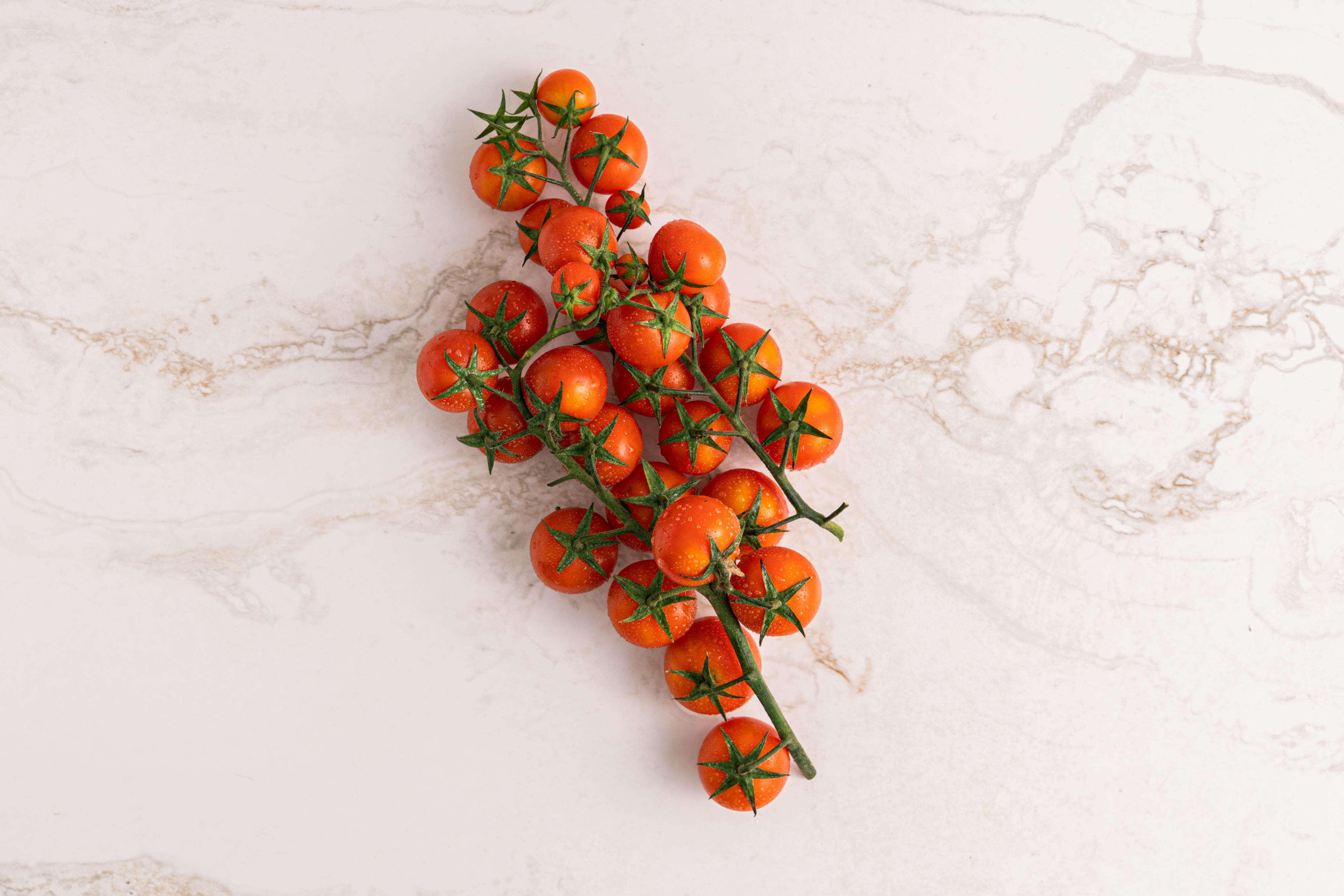 Ripe cherry tomatoes on the vine, ready to be slow-roasted for homemade sunblush tomatoes.